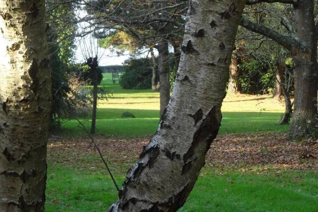 Pénestin Ty Too, Dans Les Bois, Face Mer מראה חיצוני תמונה